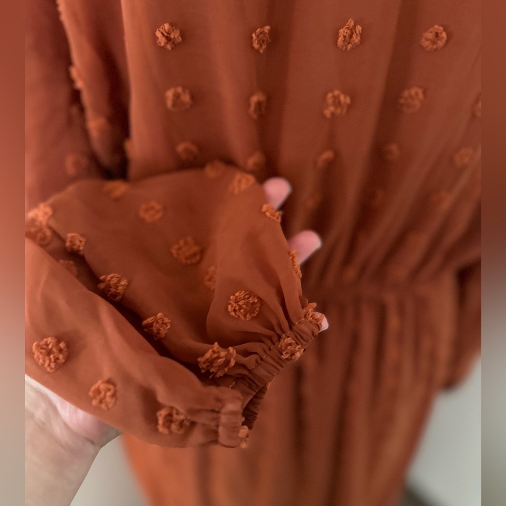 Rust Swiss dot dress - Picture 2 of 3